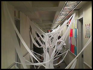 toilet papered