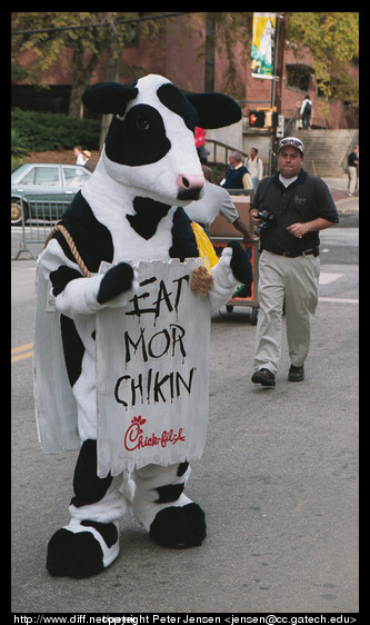 eat more chikin