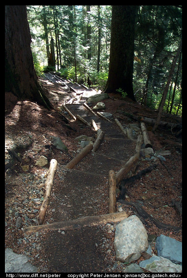 steps near the beginning of the Alpental trail to Snow Lake