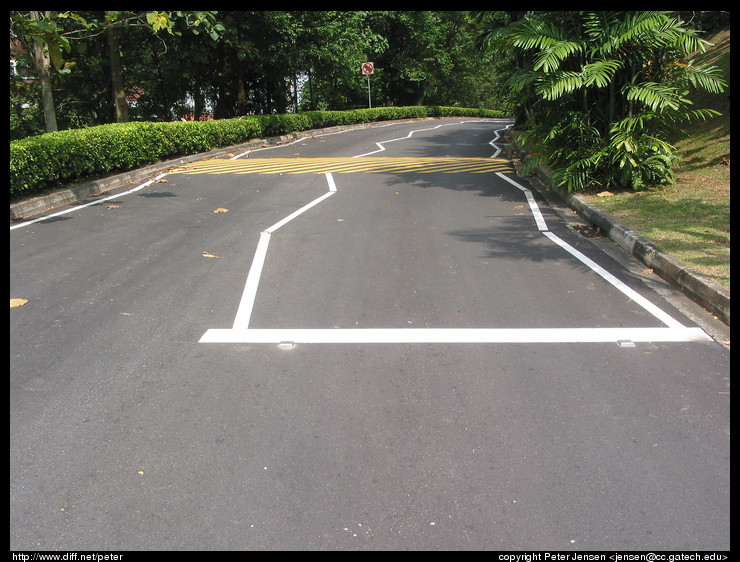 squiggly road lines