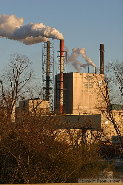 Mead paper factory