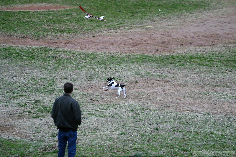Kip's Elfi and the occasional neighborhood dog in pursuit