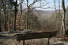 A bench in Mammoth Cave National Park