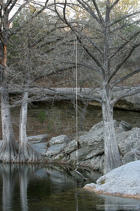 a swing at McKinney Falls State Park