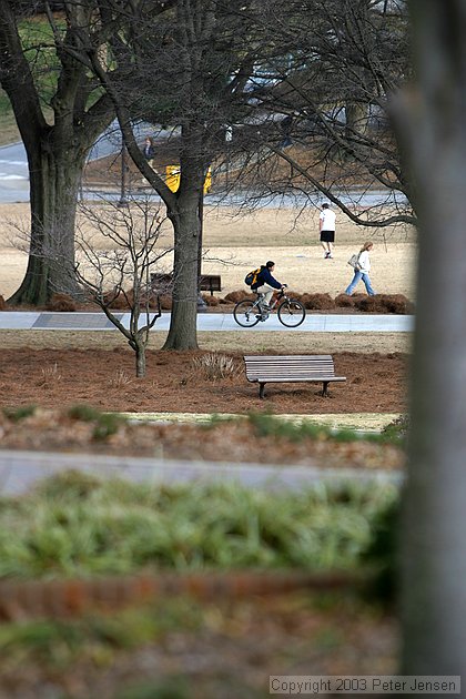 bike rider on campus; looking toward old Hightower field