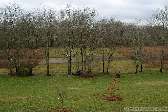 backyard (river is just past the latter grass at the treeline)