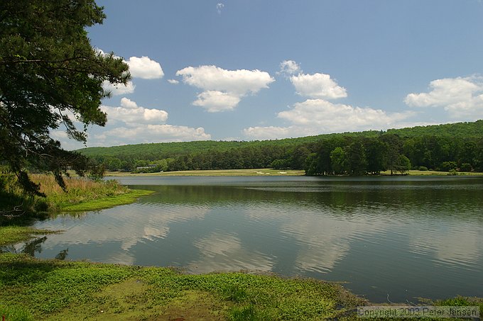 a lake at Callaway
