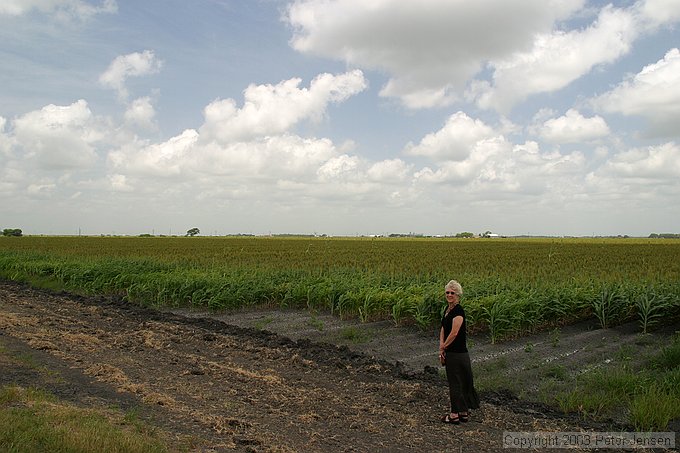 Kathi and sorghum field