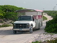 our Taxi and some of the general vegitation found on Anegada