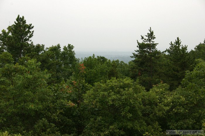 hazy view out from a low peak in the Blue Hills reservation from a quick run