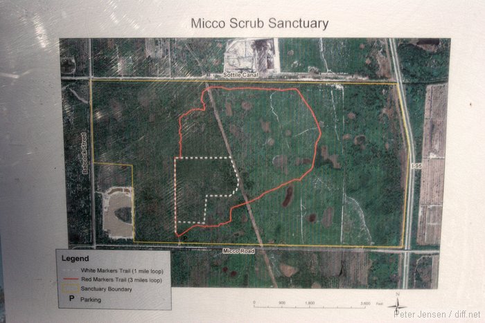 Micco Scrub map