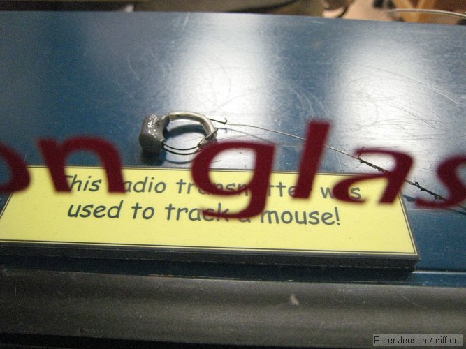 radio transmitter for mice
