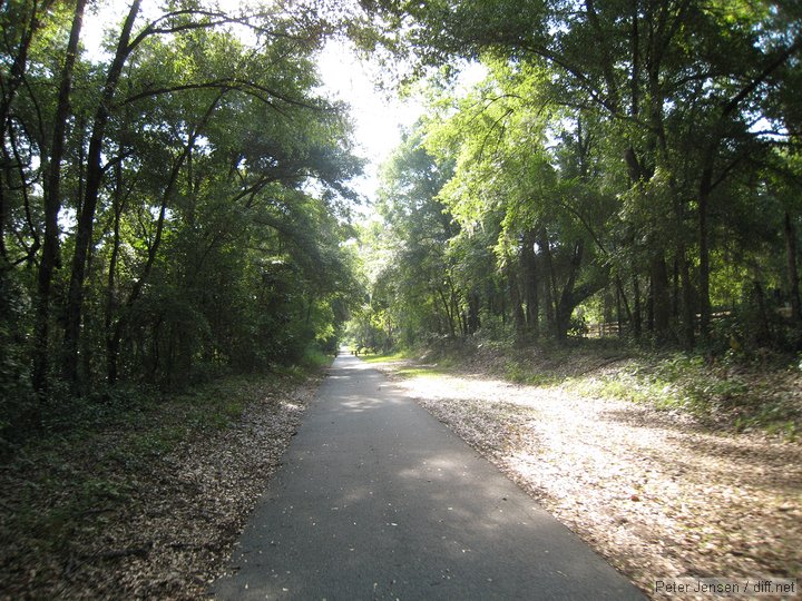 typical Gainesville-Hawthrorne trail view