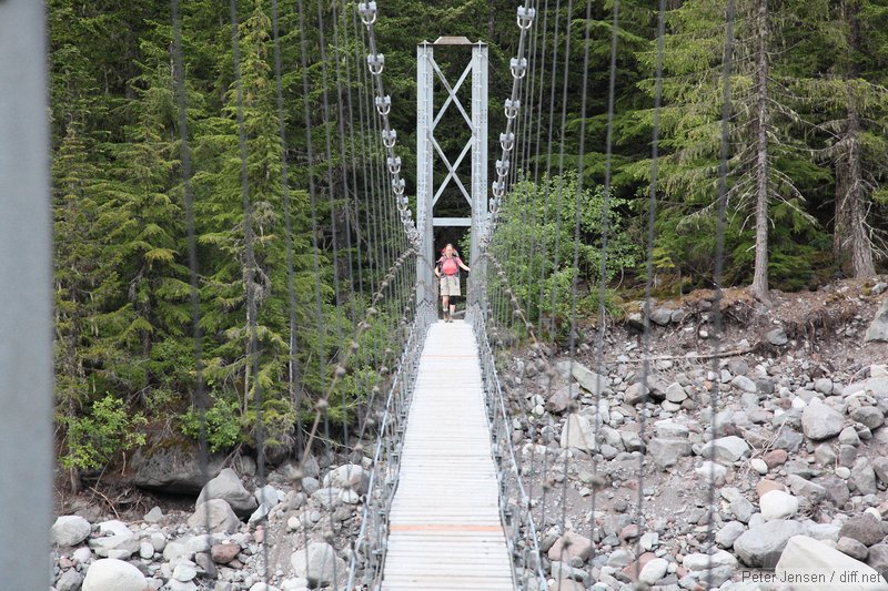 Carbon river suspension bridge
