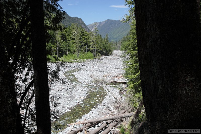 part of the Carbon River