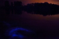 bioluminescent algae stirred up by a paddle during a 2 second exposure