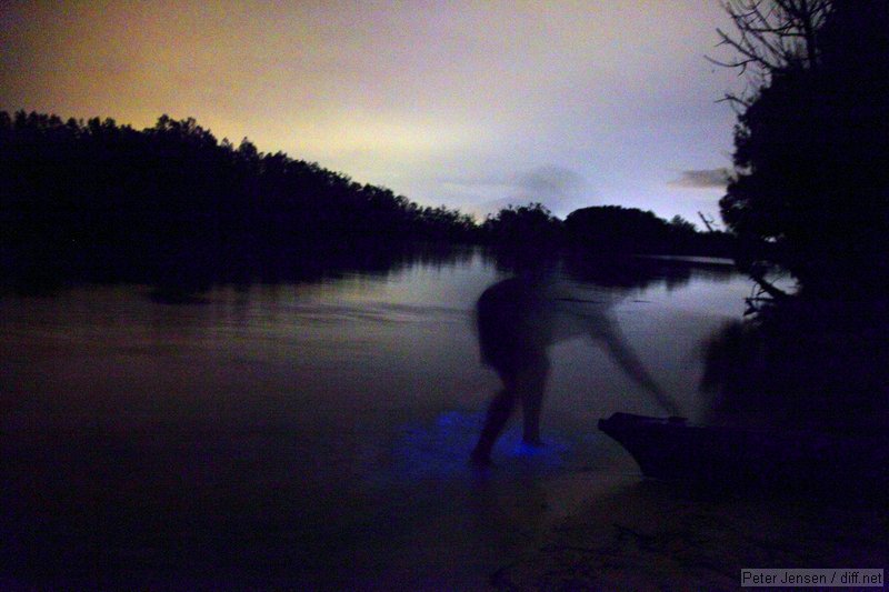 Erik stirring up some bioluminescent algae as he pulls his kayak out. Many thanks for borrowing and transporting a kayak for us!
