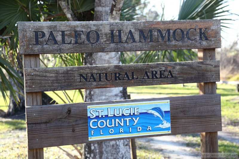 Paleo Hammock Natural Area