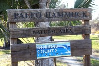 Paleo Hammock Natural Area