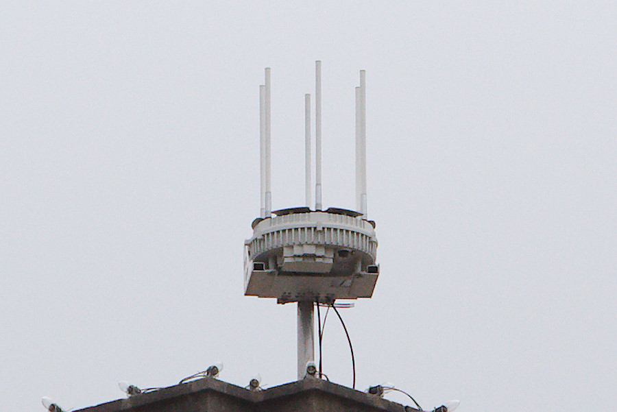 odd antenna in Brunswick