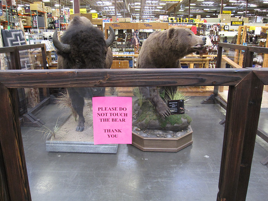 PLEASE DO NOT TOUCH THE BEAR THANK YOU