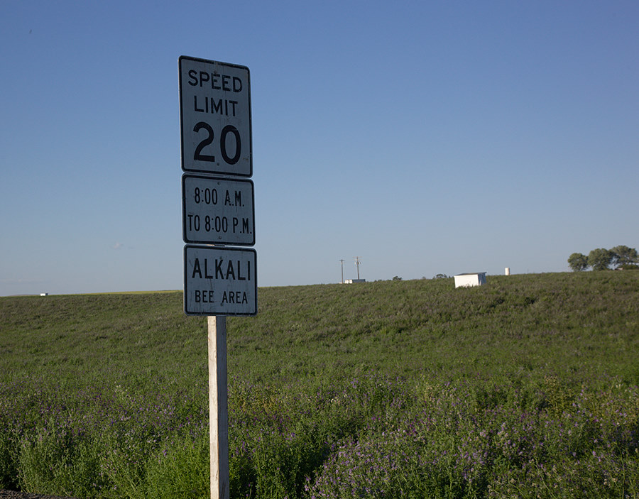 Alkali Bee speed limit 20