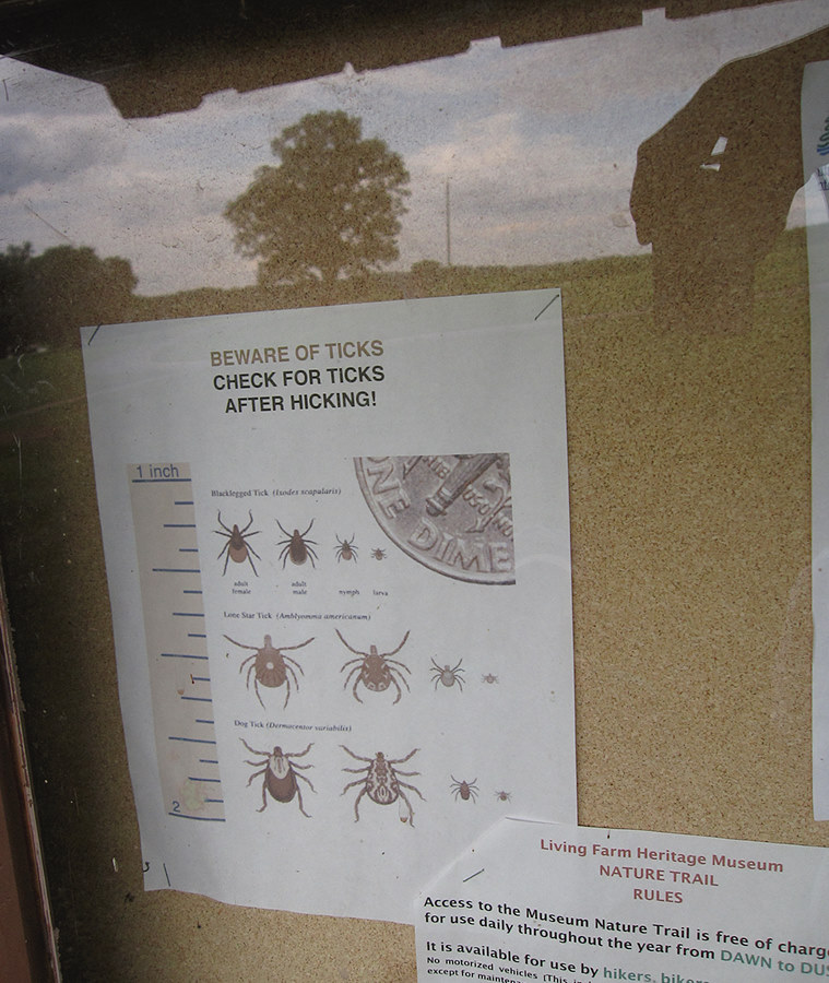 BEWARE OF TICKS  CHECK FOR TICKS AFTER HICKING!