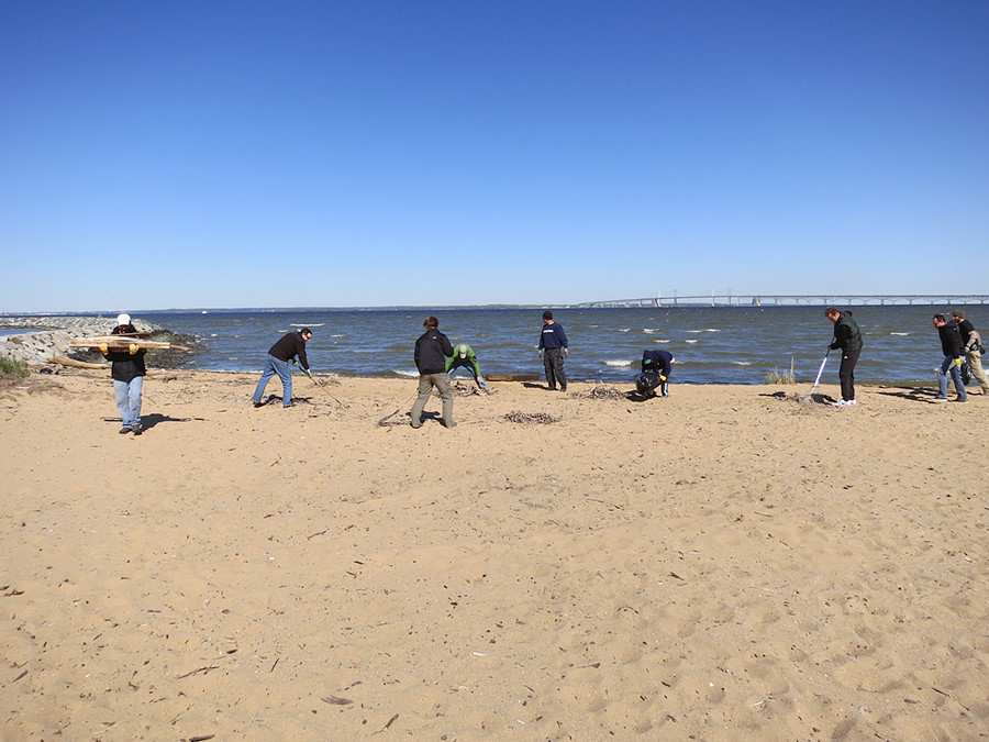 beach cleanup crew