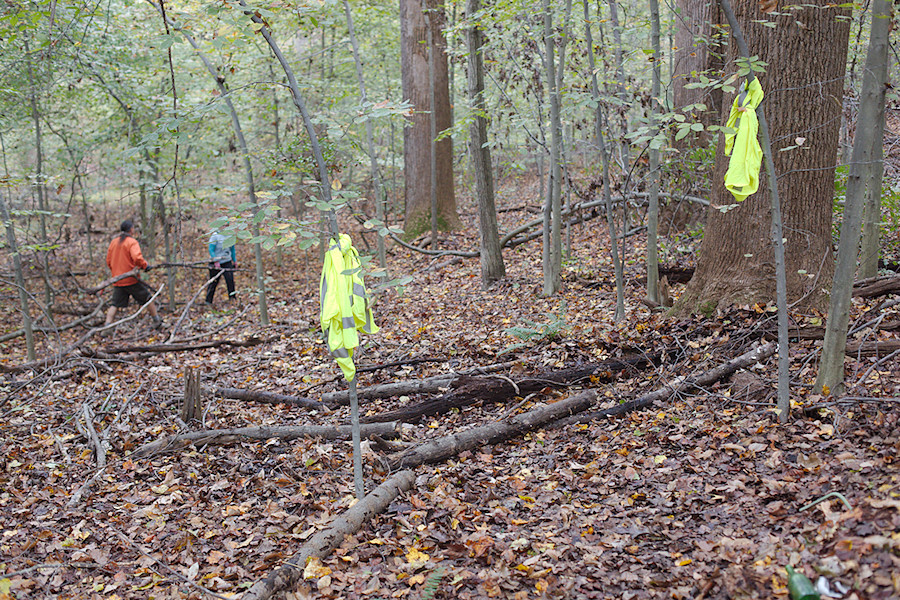 safety vests mark the trail for volunteers who arrived later