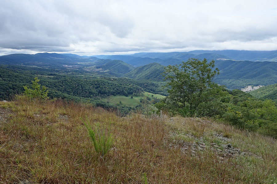 view to the south with Seneca Rocks