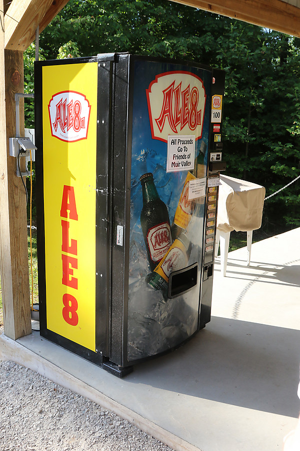 Ale81 is *everywhere* in this part of KY