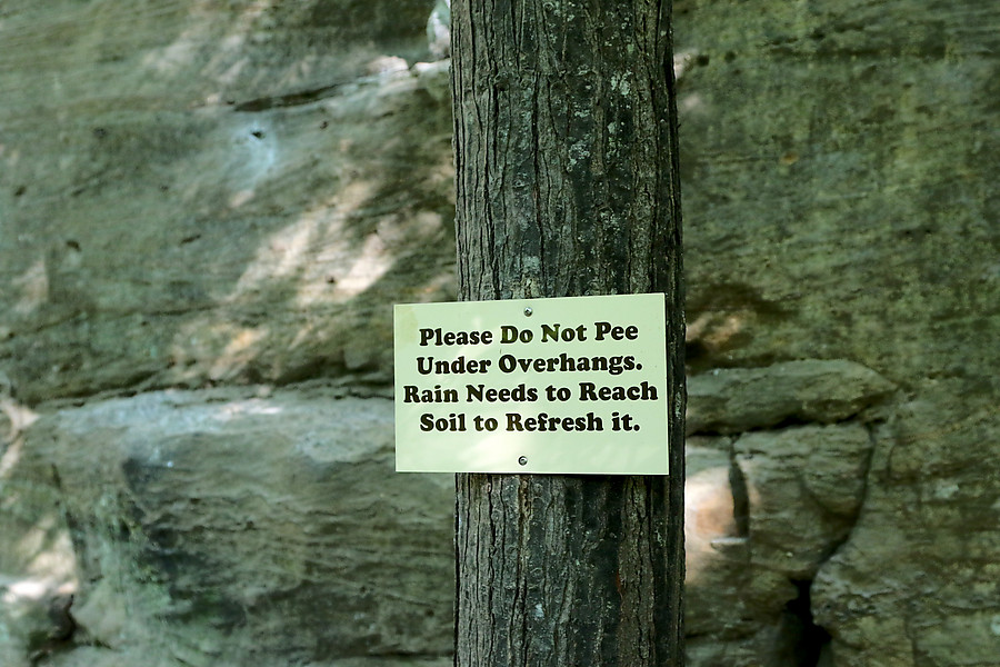 Plesae Do Not Pee Under Overhangs. Rain Needs to Reach Soil to Refresh it.
