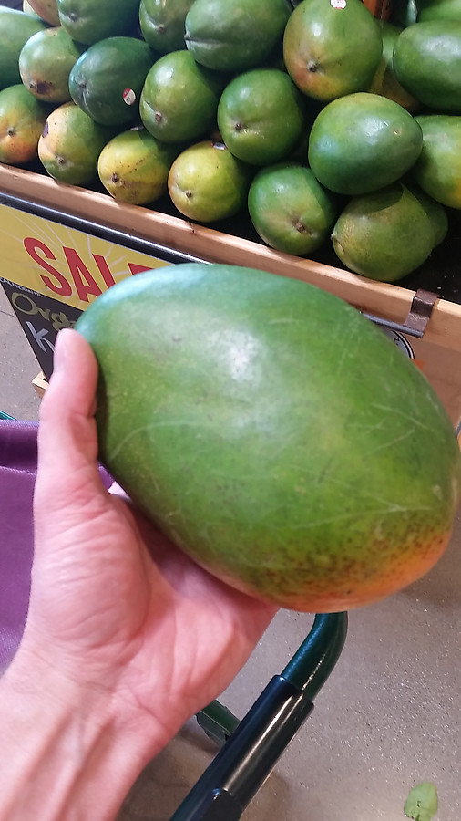 giant mango