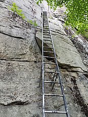Honeymooner's Ladders