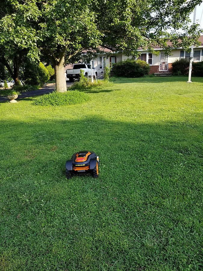 robot lawnmower I came across