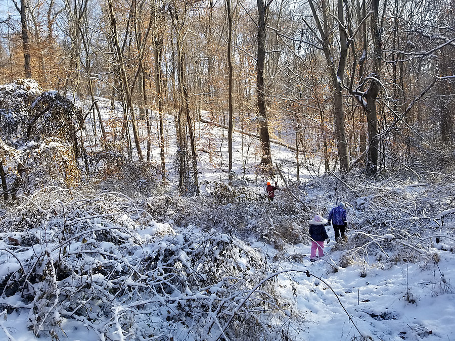 winter wonderland for the kids