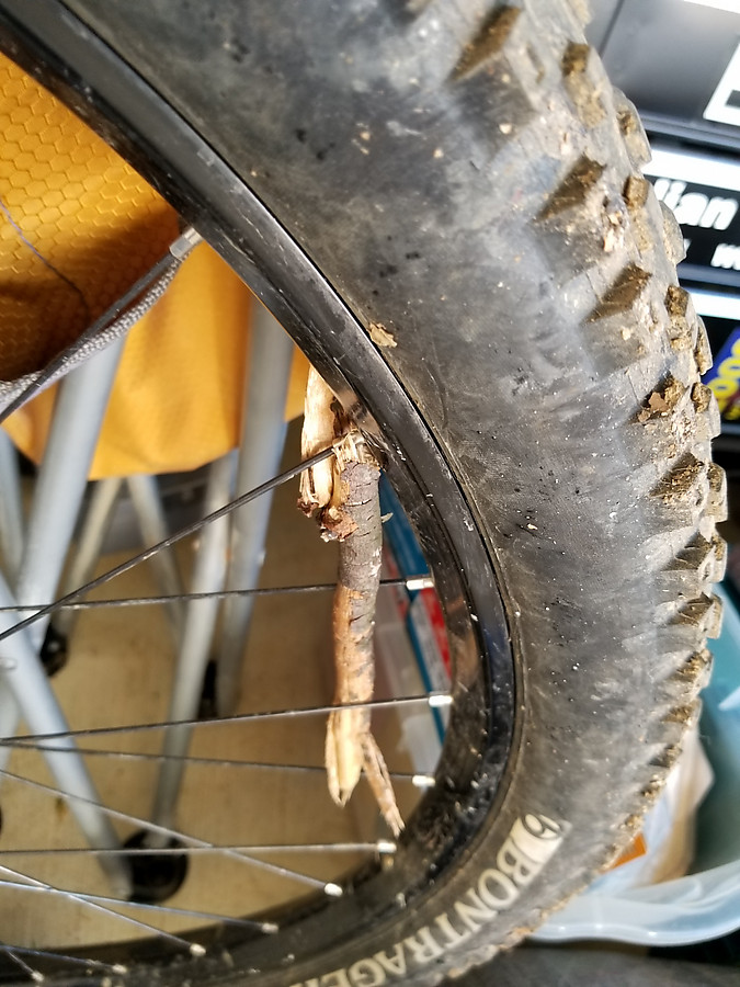 risks of riding after a windstorm