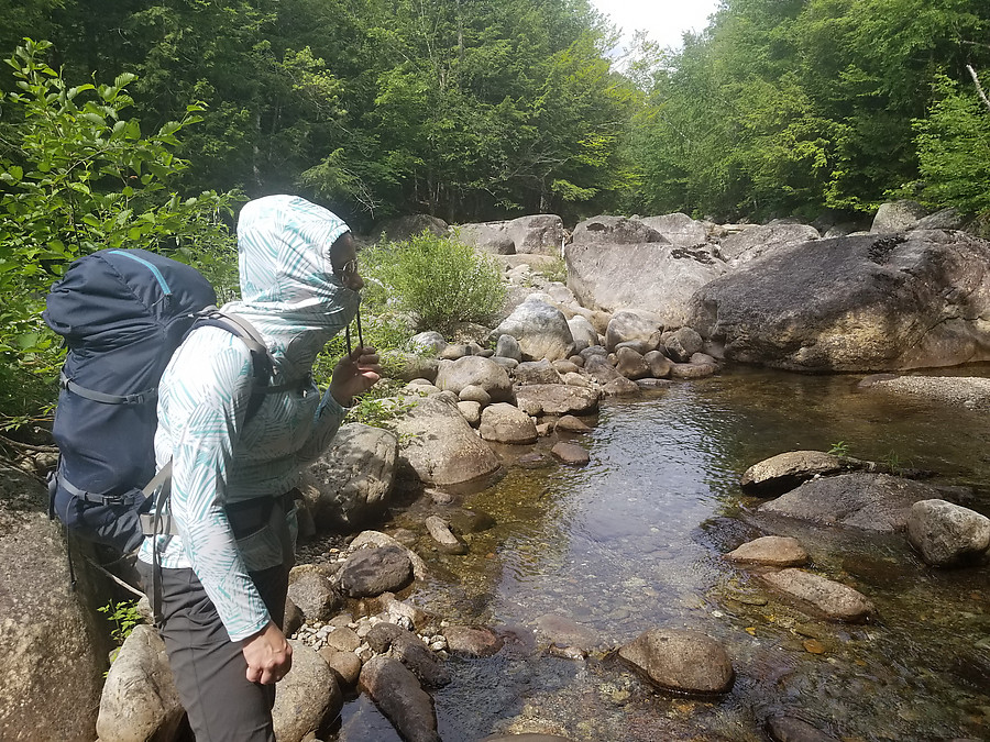 hiding from the bugs in the creek