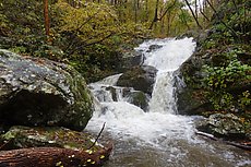 a good sized waterfall on the North Fork Piney River