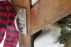 dog hook (for use while browsing the Little Free Library)