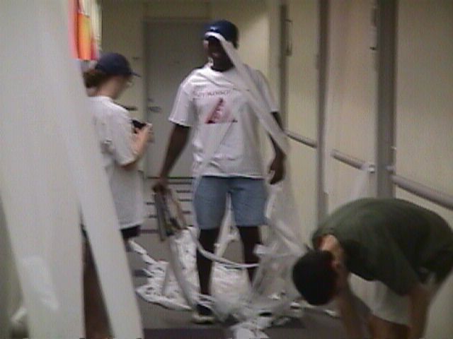 darius in the toilet paper