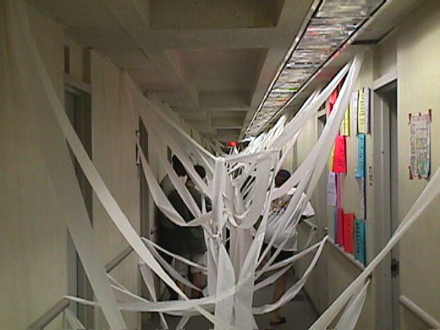 toilet papered