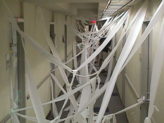 toilet papered3
