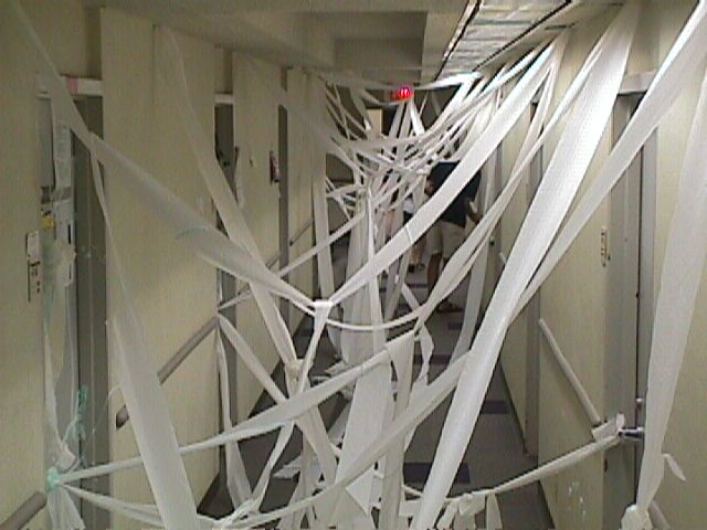toilet papered3