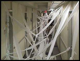 toilet papered3