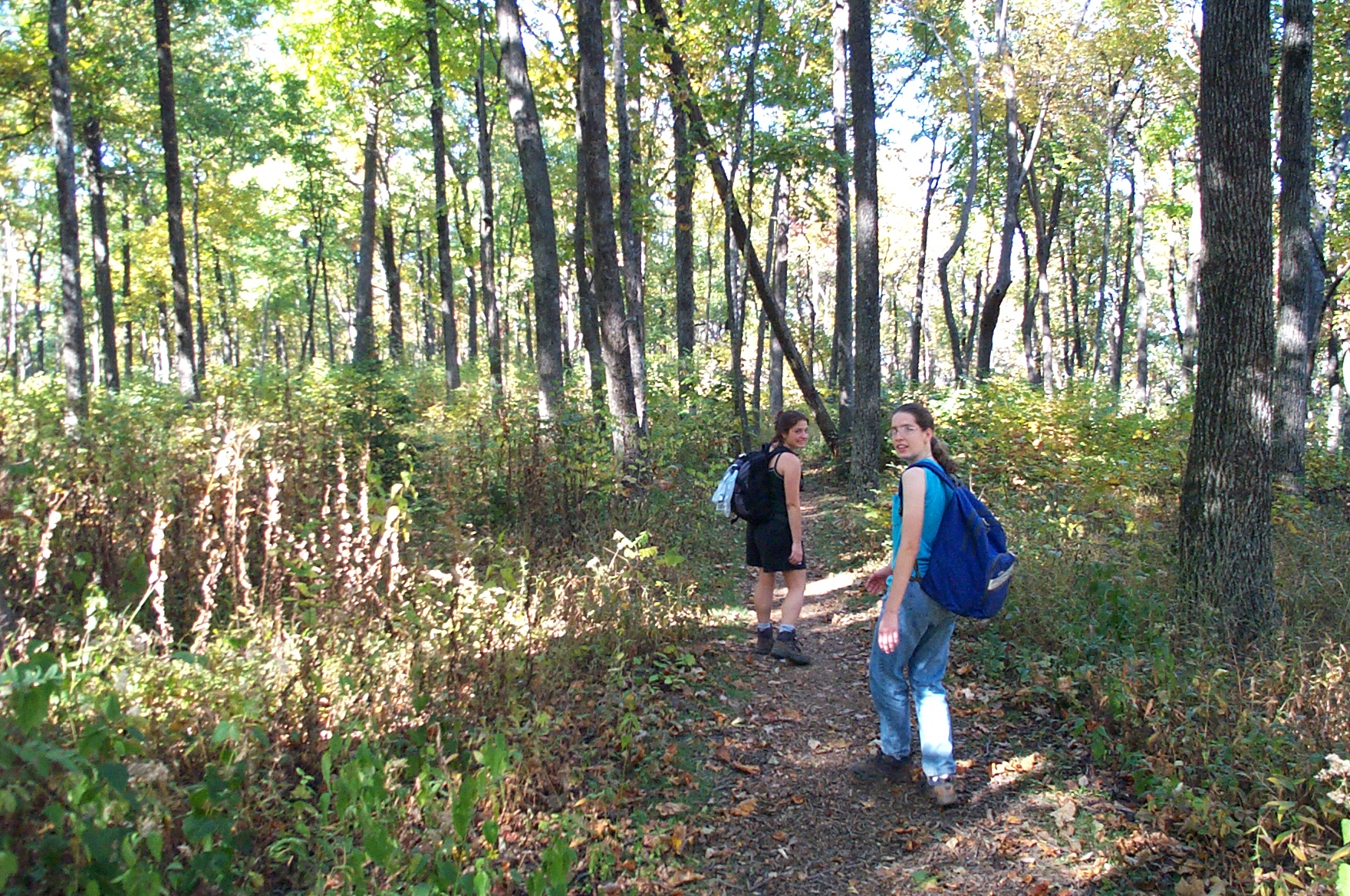 2000 10 15 Amicalola Falls hiking-021