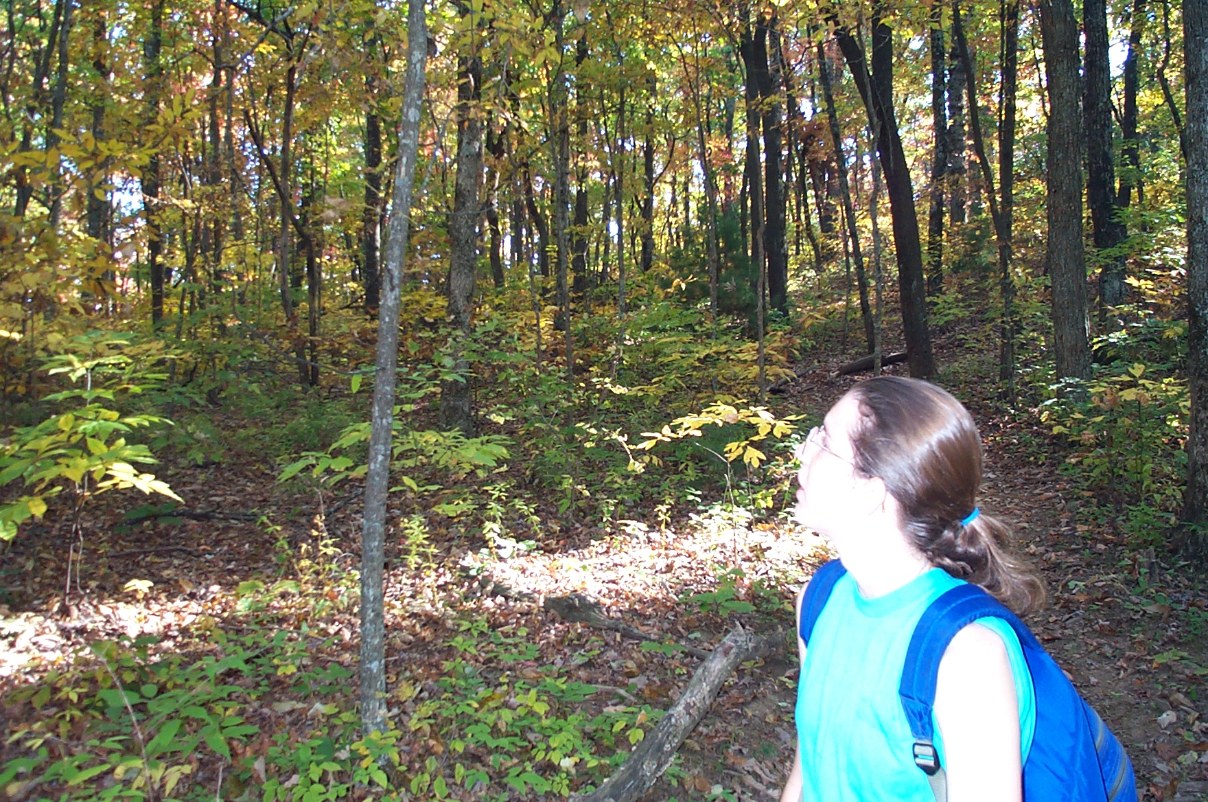 2000 10 15 Amicalola Falls hiking-022