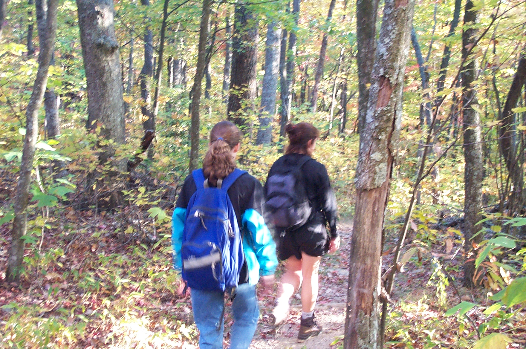 2000 10 15 Amicalola Falls hiking-026