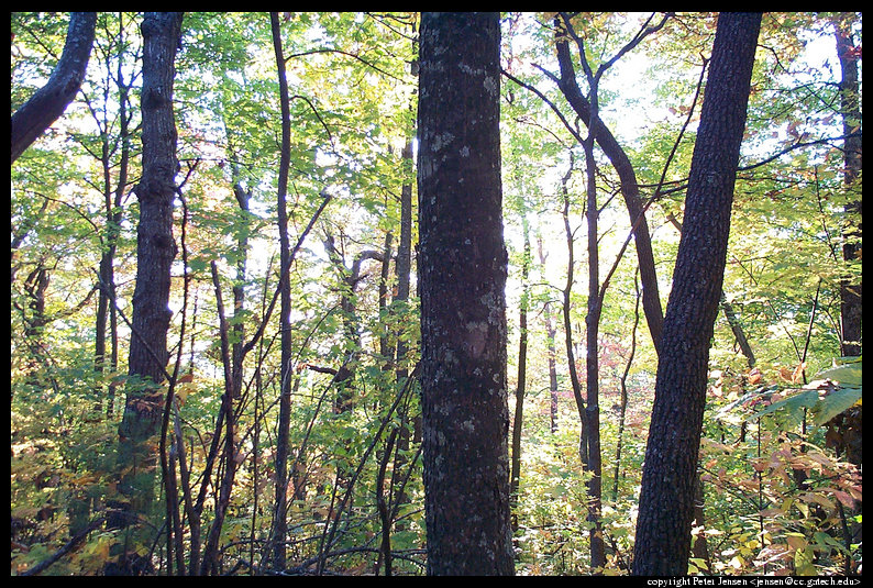 2000 10 15 Amicalola Falls hiking-027