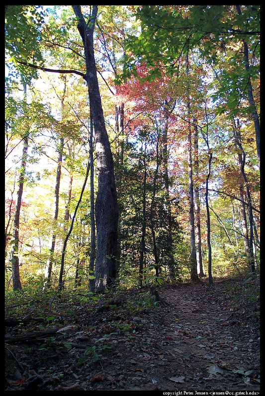 2000 10 15 Amicalola Falls hiking-030